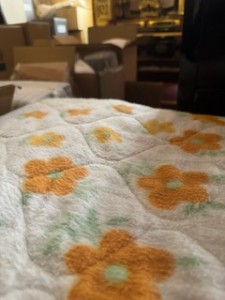 image2 (1)